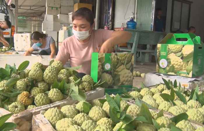 Sóc Trăng ngày mới (21-08-2021)