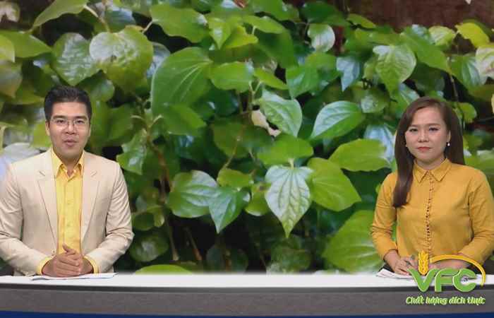 Sóc Trăng ngày mới 23-02-2018