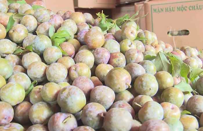 Sóc Trăng ngày mới 23-05-2019