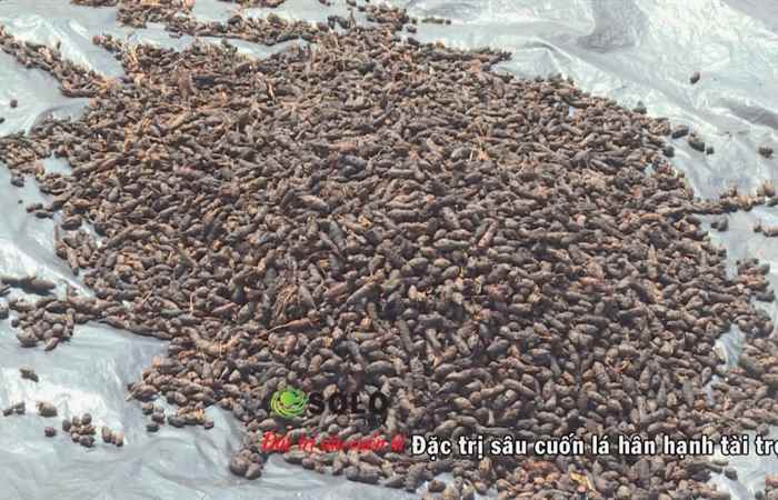 Sóc Trăng ngày mới 24-08-2018