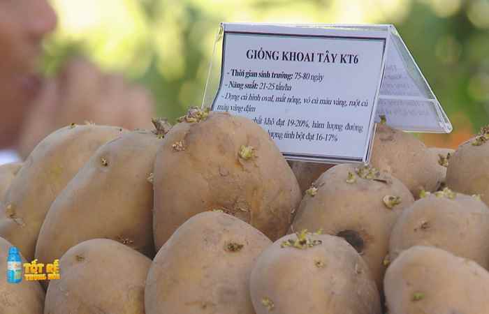 Sóc Trăng Ngày mới (24-09-2023)