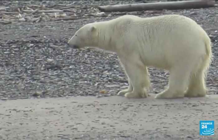 Sóc Trăng ngày mới (25-04-2021)
