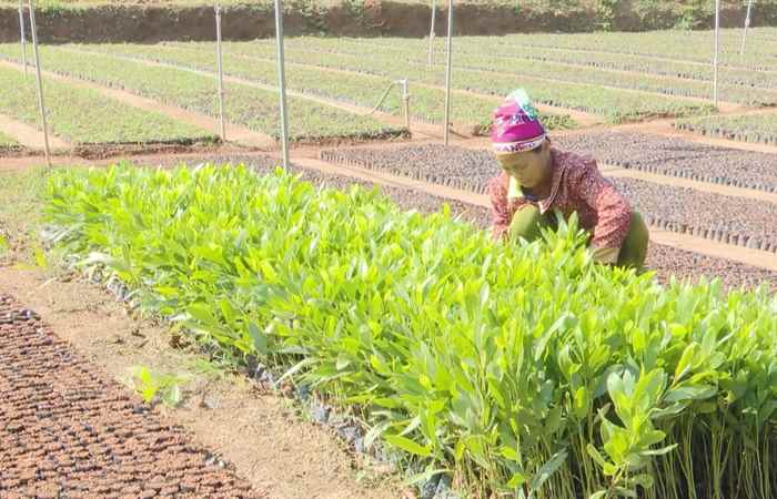 Sóc Trăng ngày mới (26-03-2025)