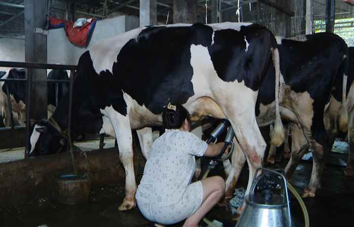 Sóc Trăng ngày mới (26-06-2025)
