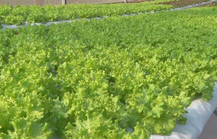 Sóc Trăng ngày mới 26-11-2019