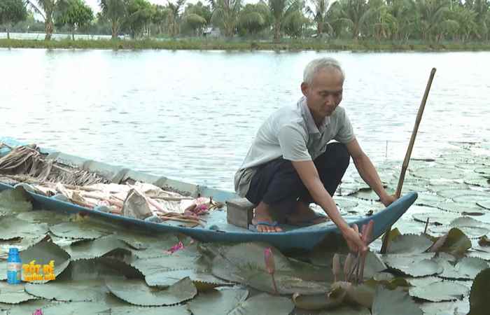 Sóc Trăng Ngày mới (26-11-2023)