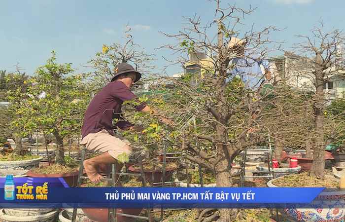 Sóc Trăng Ngày mới (26-12-2022)