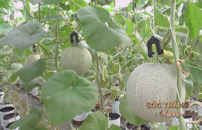 Sóc Trăng ngày mới 27-02-2018