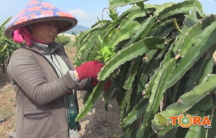 Sóc Trăng ngày mới 27-05-2018