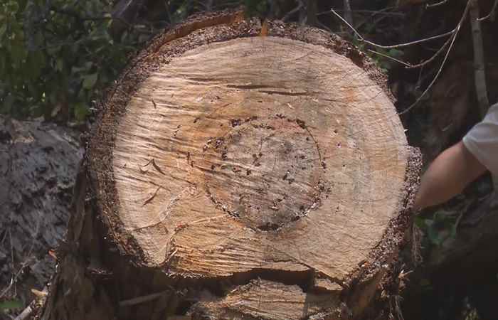 Sóc Trăng ngày mới 28-05-2020