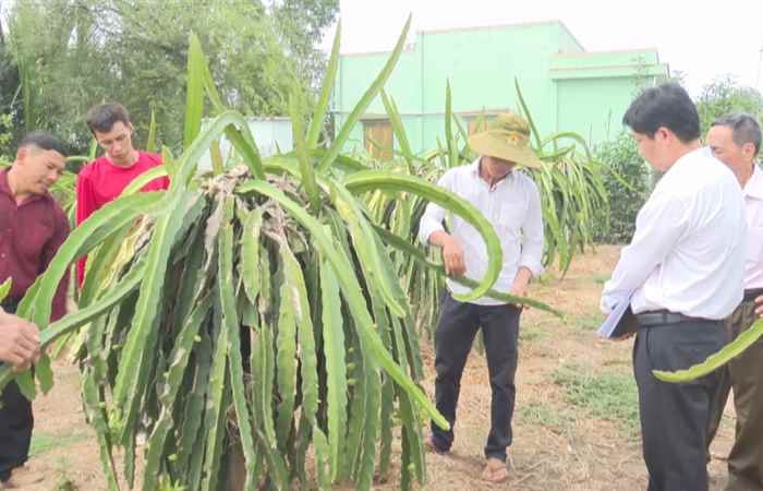 Sóc Trăng ngày mới (28-05-2025)
