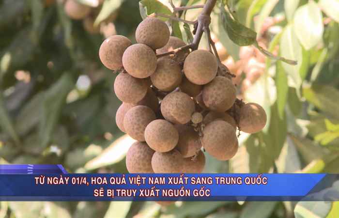 Sóc Trăng ngày mới 30-03-2018
