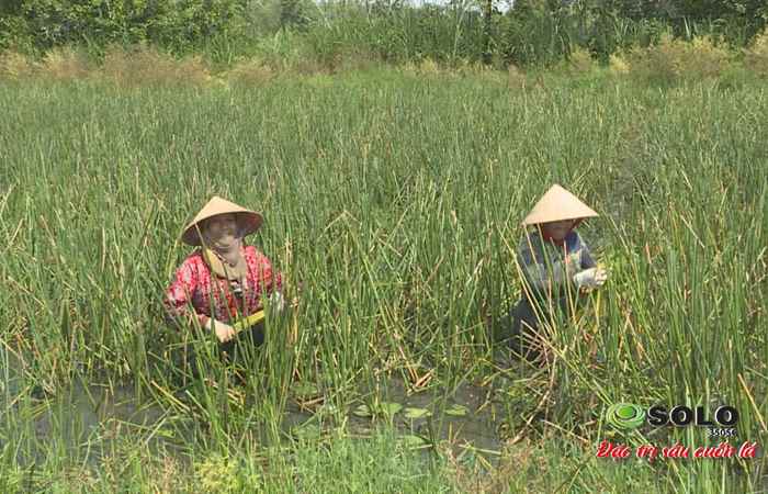 Sóc Trăng ngày mới 30-10-2018