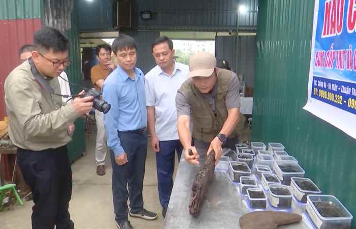 Sóc Trăng ngày mới (31-03-2025)