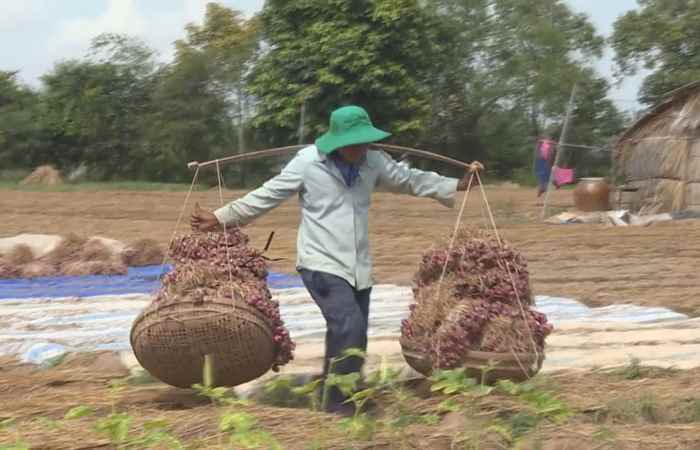 Sóc Trăng quê tôi tiếng Khmer 25-01-2019