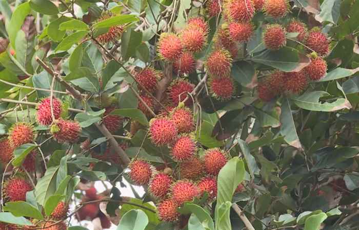 Sóc Trăng tiềm năng và cơ hội đầu tư (10-03-2022)