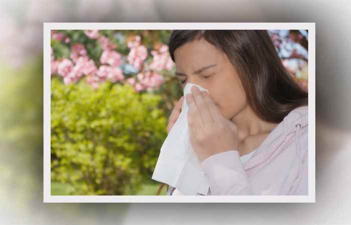 Sống khỏe 360 Mùa xuân và nỗi khổ khi bị viêm mũi dị ứng 08-02-2019