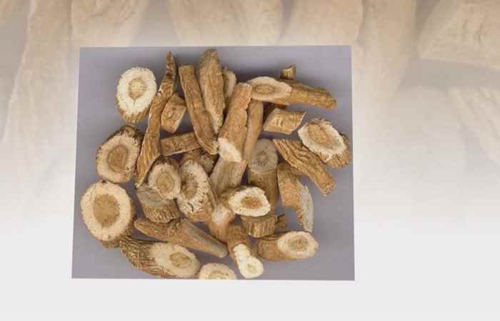 Sống khỏe 360 - Bản lam căn trị nhiều bệnh thường gặp (24-12-2019)