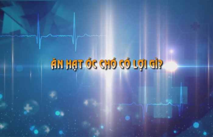 Sống Khỏe 360 - Ăn Hạt Óc Chó Có Lợi Gì 06-10-2019