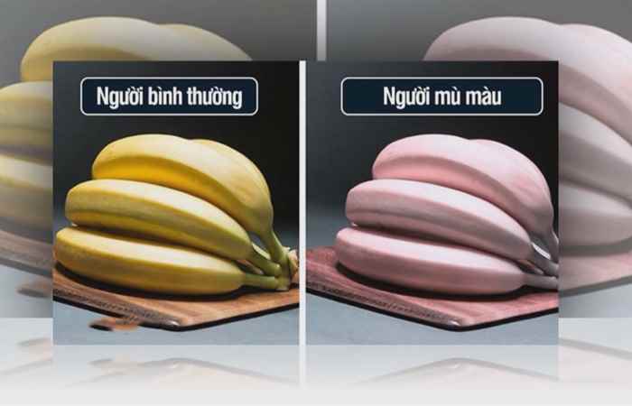 Sống khỏe 360 Người mù màu 30-01-2019