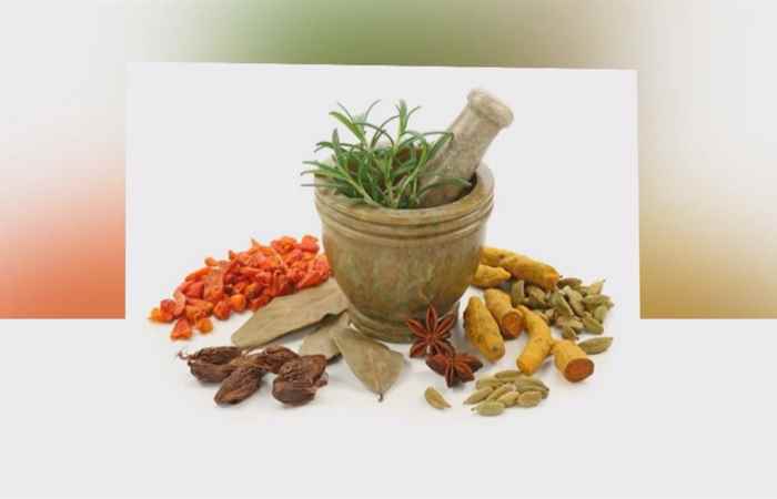 Sống khỏe 360 - Chữa đau dạ dày từ cây có quanh ta (27-06-2020)