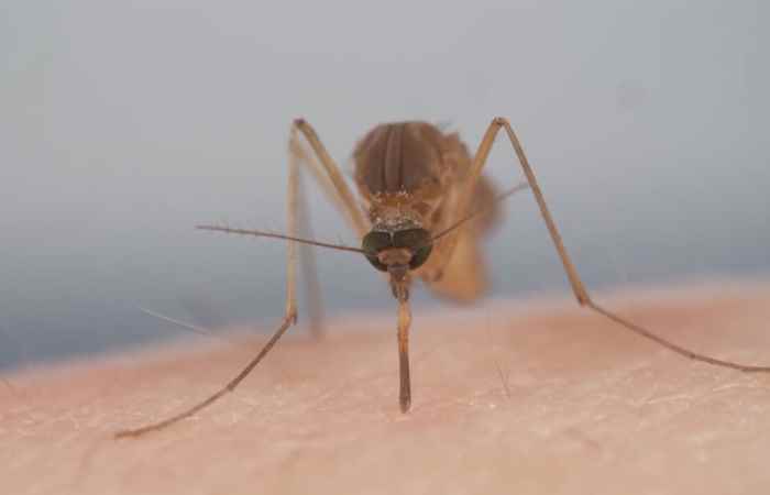 Sống khỏe 360 - Đối phó với tình trạng liệt dương 18-09-2019