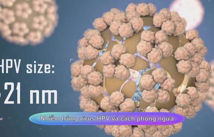Sống khỏe 360 - Nhiễm trùng virus HPV và cách phòng ngừa ( 22-01-2021)