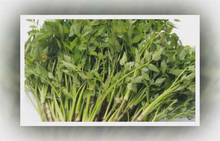 Sống khỏe 360 Tuyệt chiêu chữa bệnh từ rau cần nước 14-02-2019