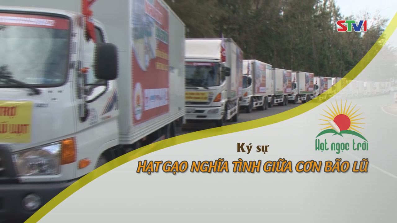 Ký sự Hạt gạo nghĩa tình - Tập 3