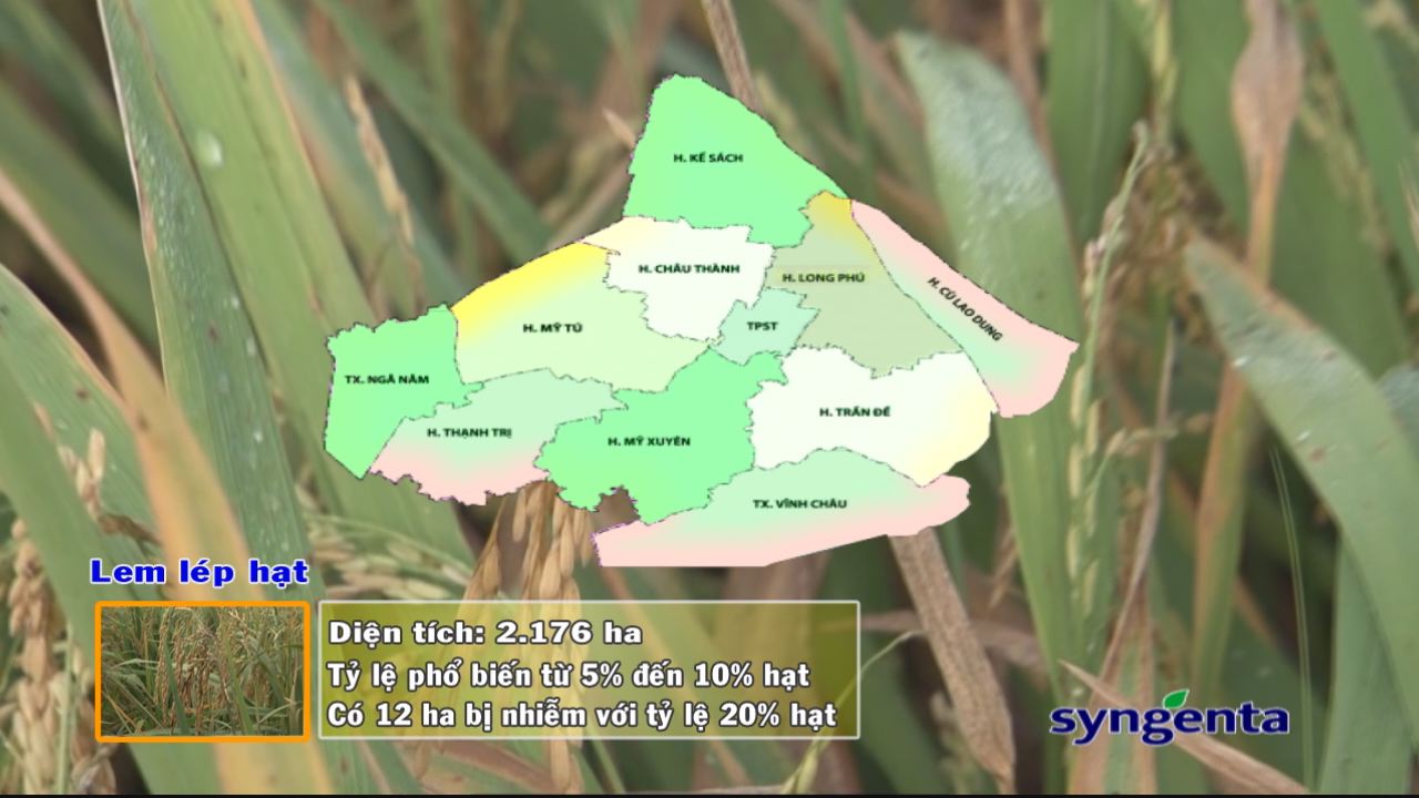 Thông tin dịch hại Nông nghiệp 11-01-2017