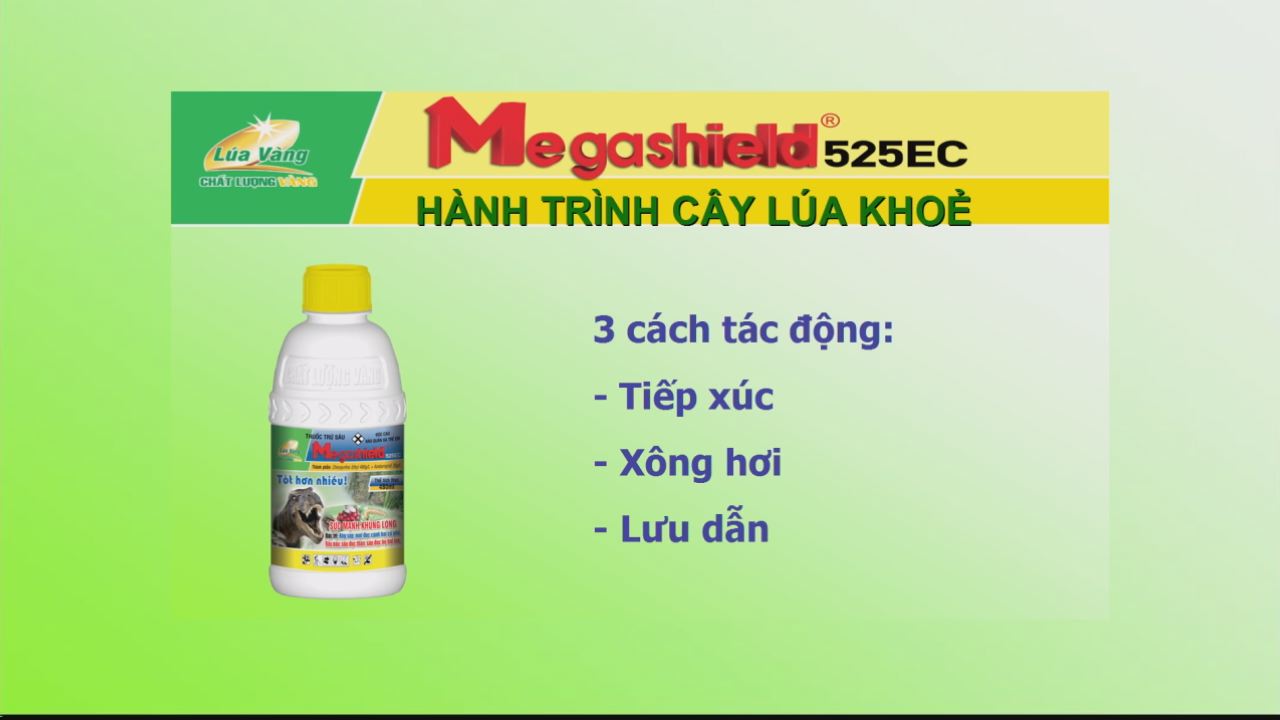 Tiến tới kiến thức vàng 03-02-2017