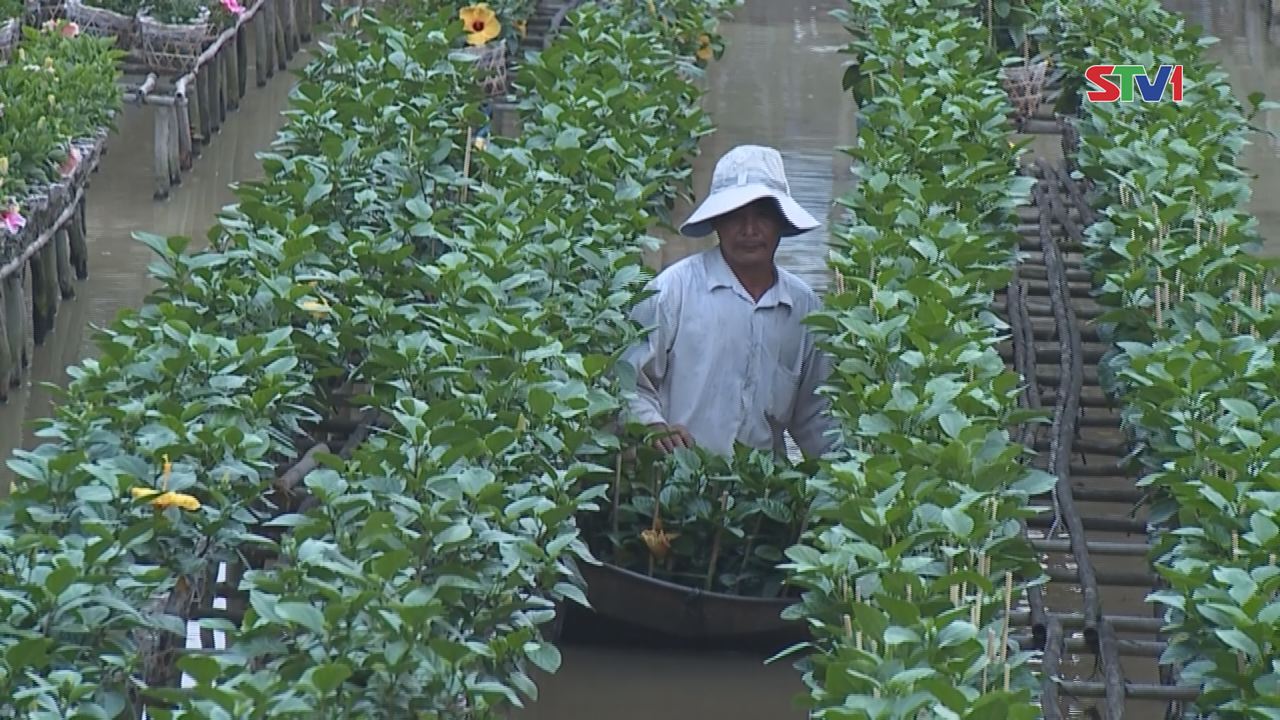 Nét Việt Hoa Của Ngày Xuân 05-02-2017