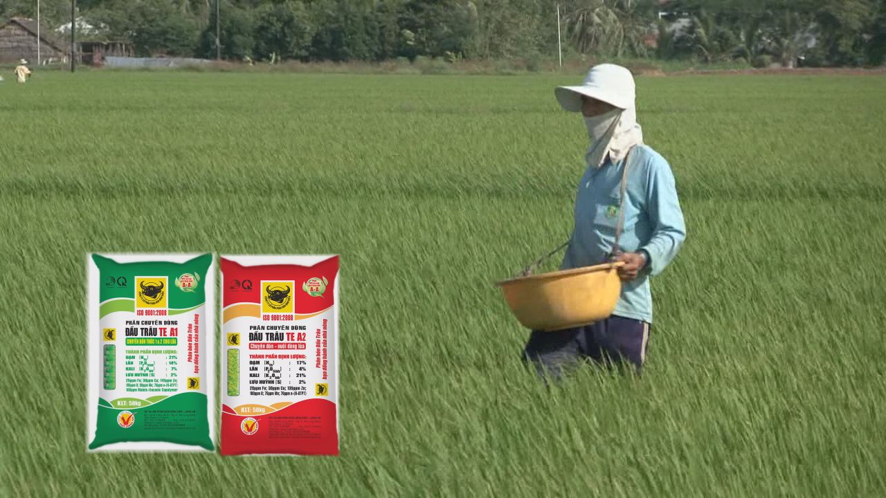 Đồng hành và chia sẻ 13-02-2017