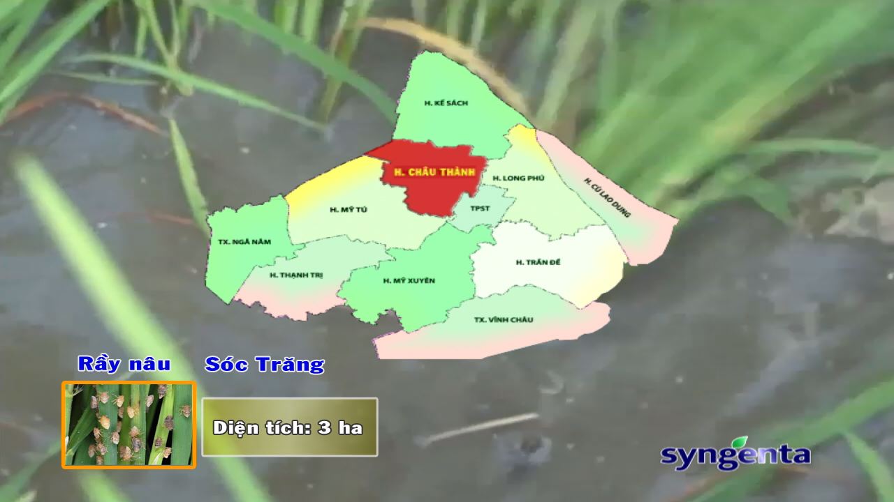 Thông tin dịch hại Nông nghiệp 15-02-2017