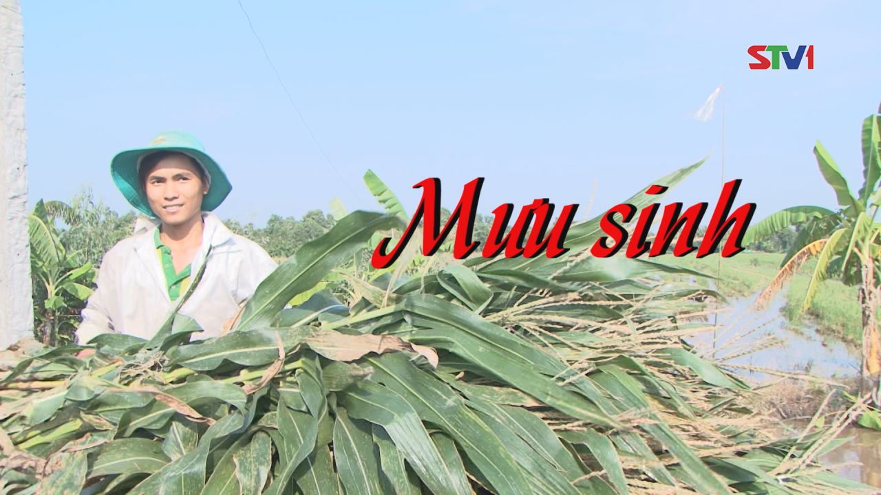 Nét Việt - Mưu Sinh 26-02-2017