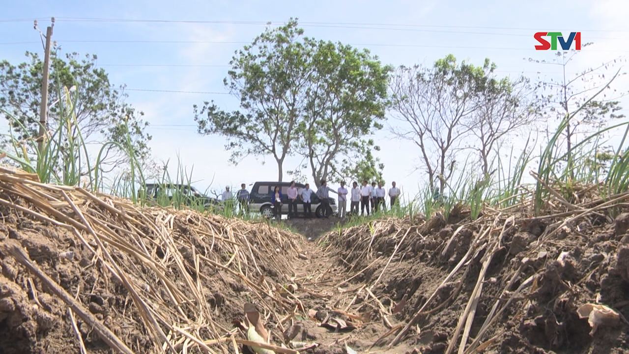Tháo gỡ khó khăn cho HTX hành tím Vĩnh Châu