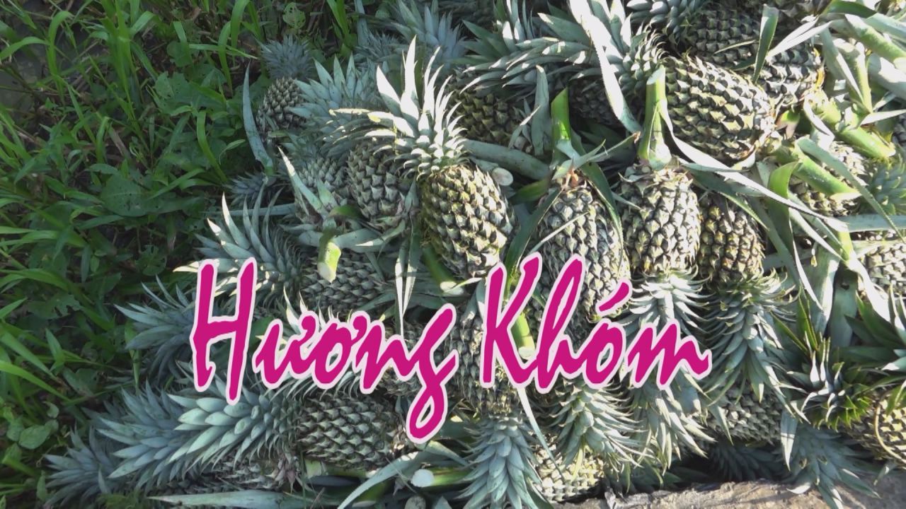 Nét Việt - Nét việt 02-03-2017