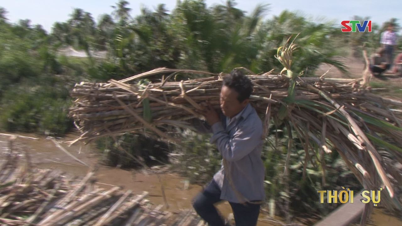 Khó khăn tìm nguồn nhân công thu hoạch mía