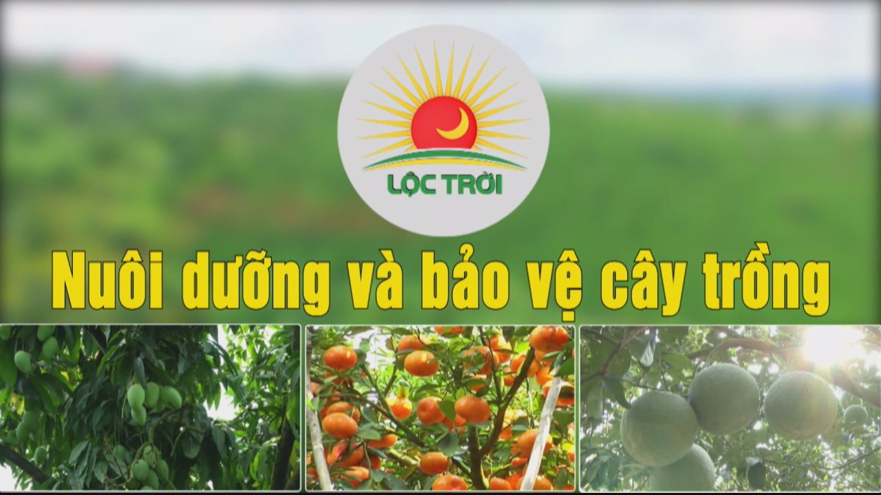 Chương trình tọa đàm - Nuôi dưỡng và bảo vệ cây trồng 09-03-2017
