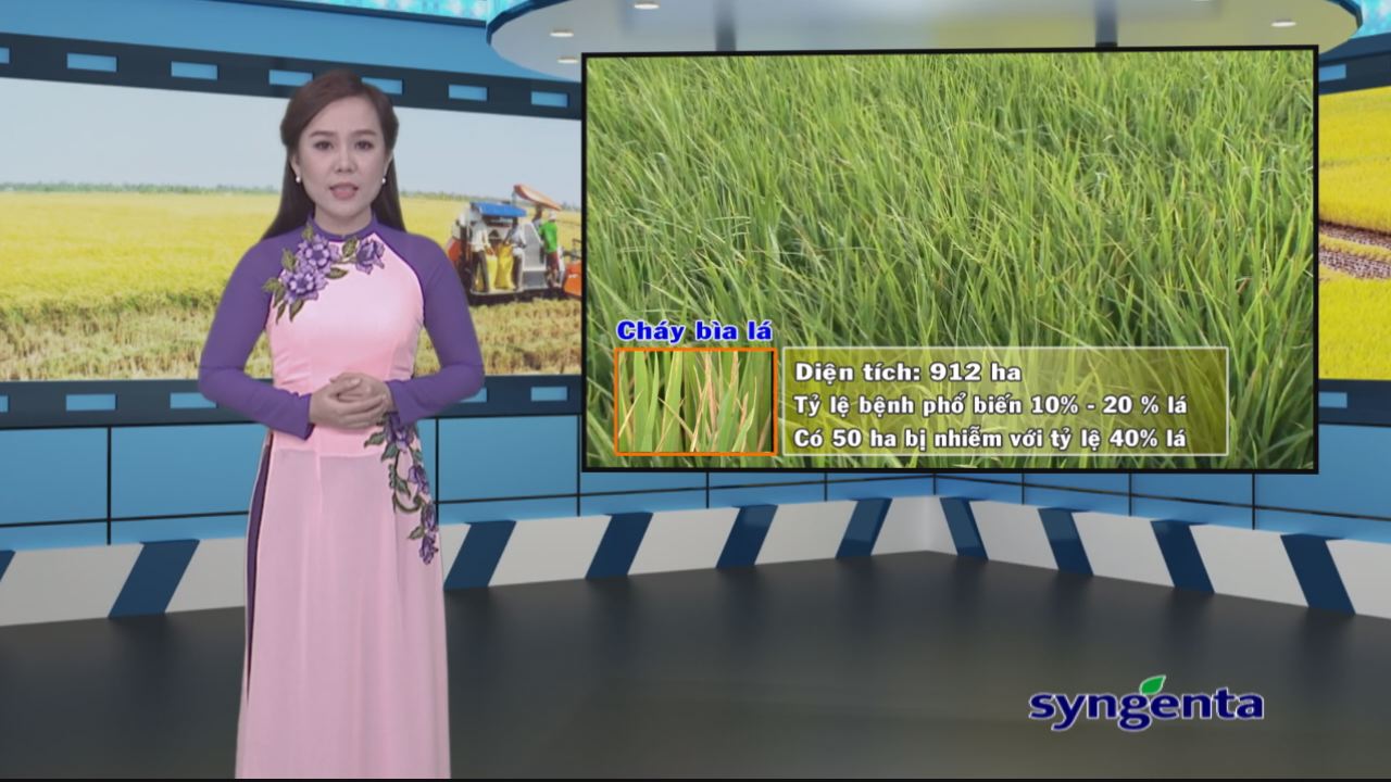 Thông tin dịch hại Nông nghiệp 08-03-2017