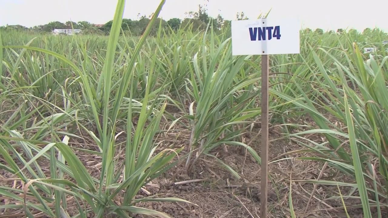 Đồng hành và chia sẻ 13-03-2017