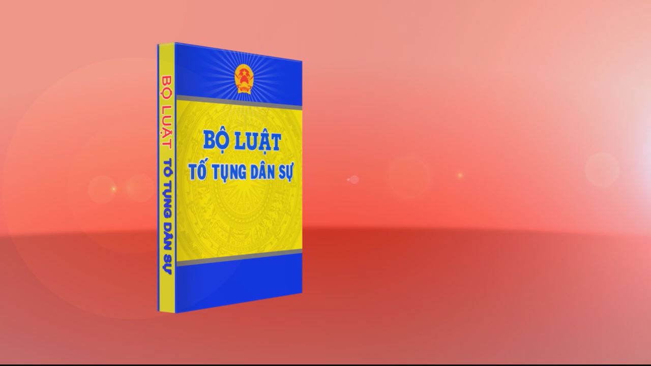 Giới thiệu Pháp luật Việt Nam 15-03-2017