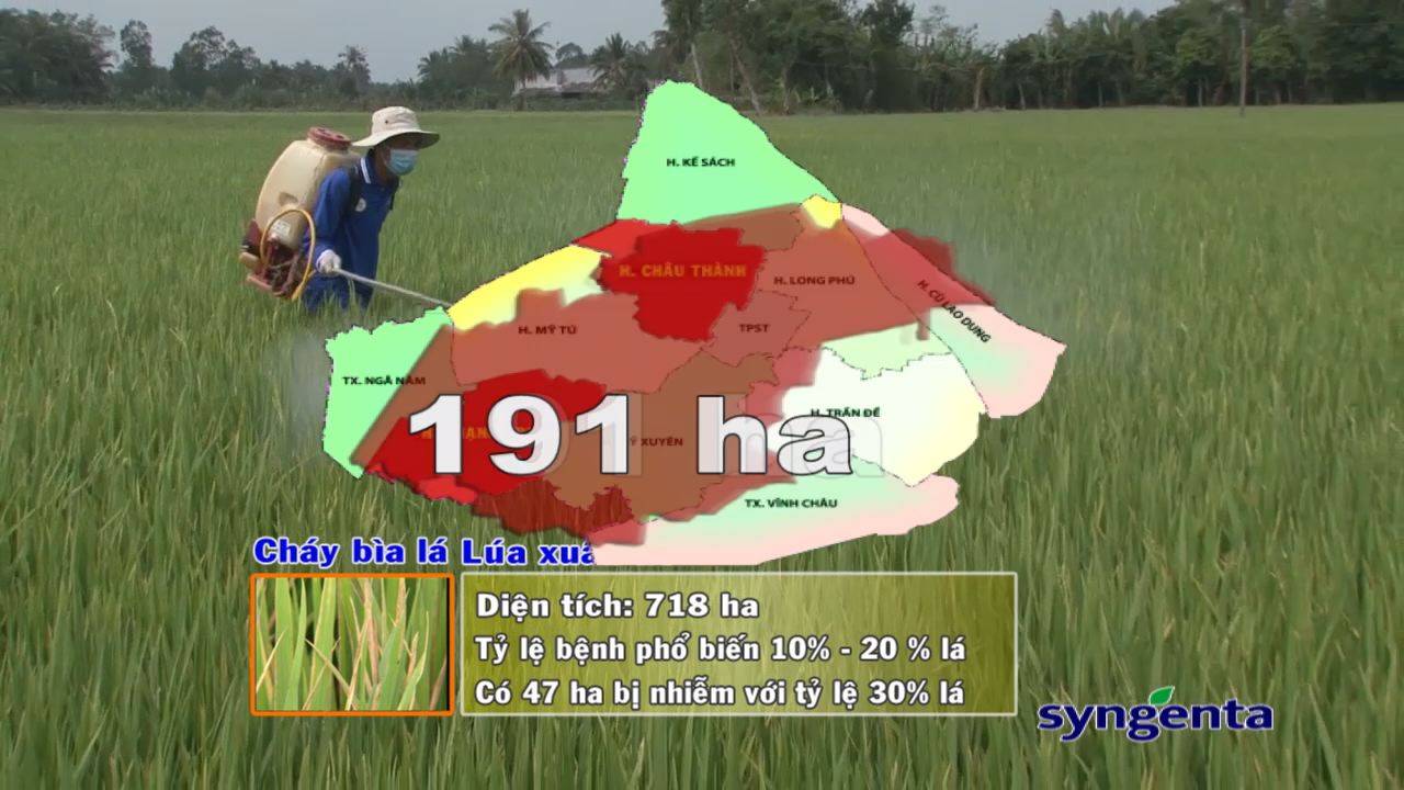 Thông tin dịch hại Nông nghiệp 15-03-2017