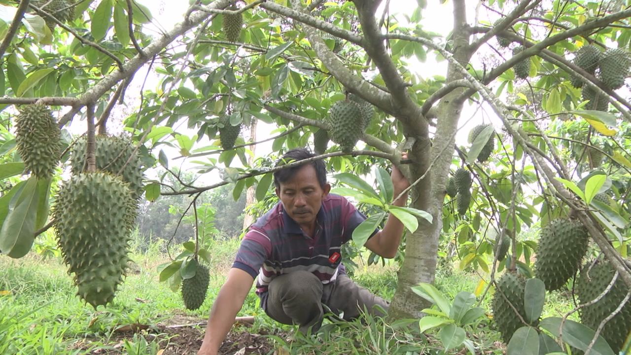 Cựu chiến binh Nguyễn Hữu Thành vượt khó làm giàu