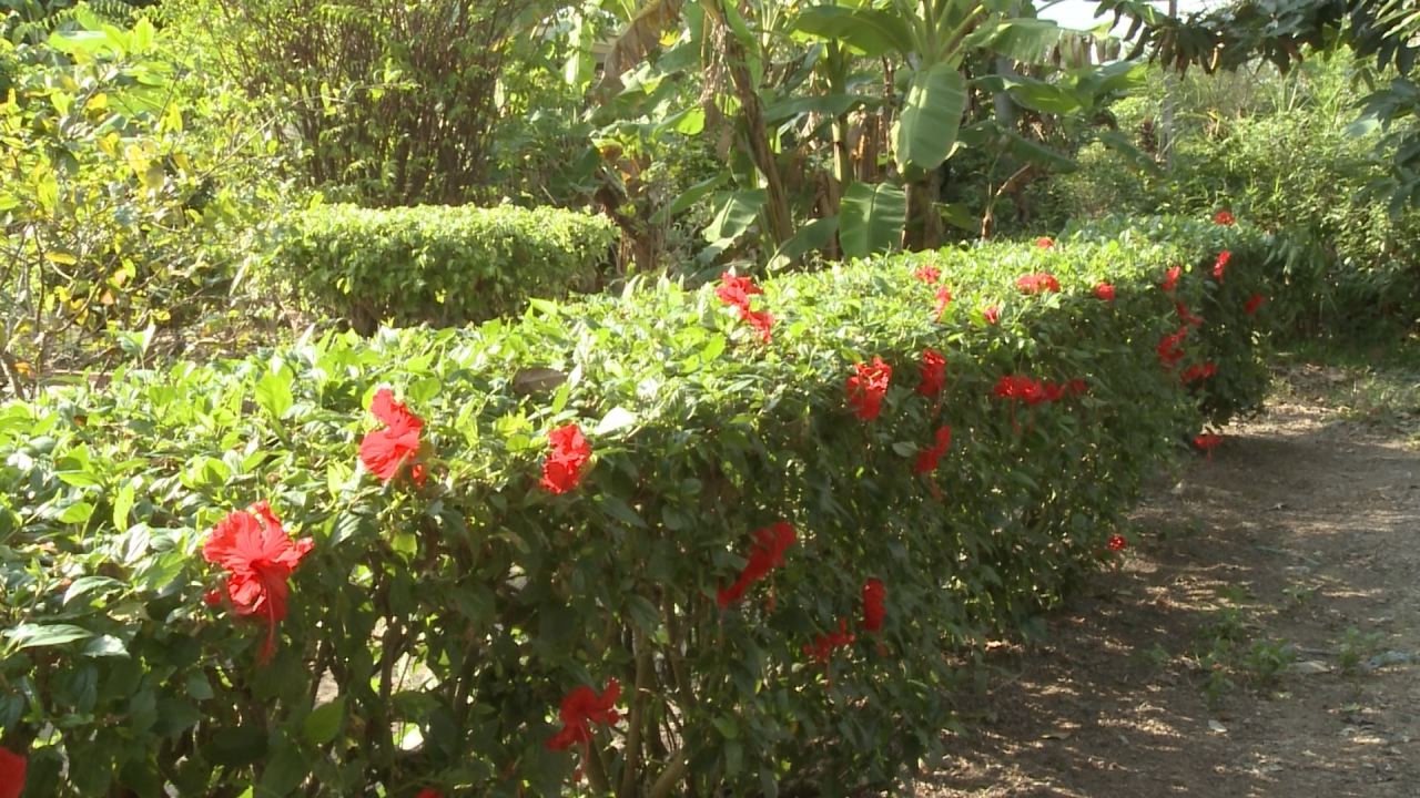 Nét Việt 28-03-2017