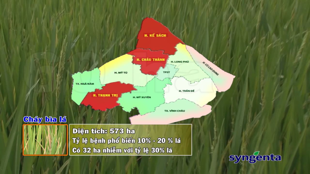 Thông tin dịch hại Nông nghiệp 29-03-2017