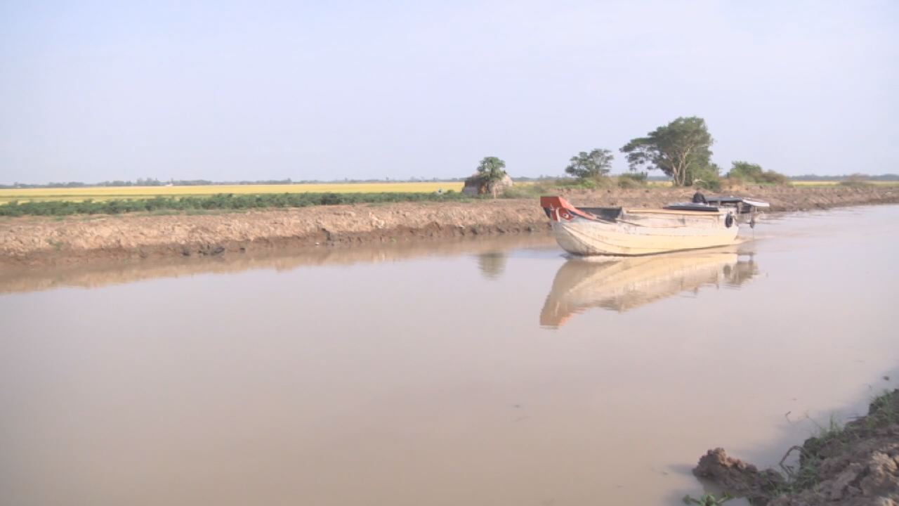 Trữ ngọt mùa khô để sản xuất
