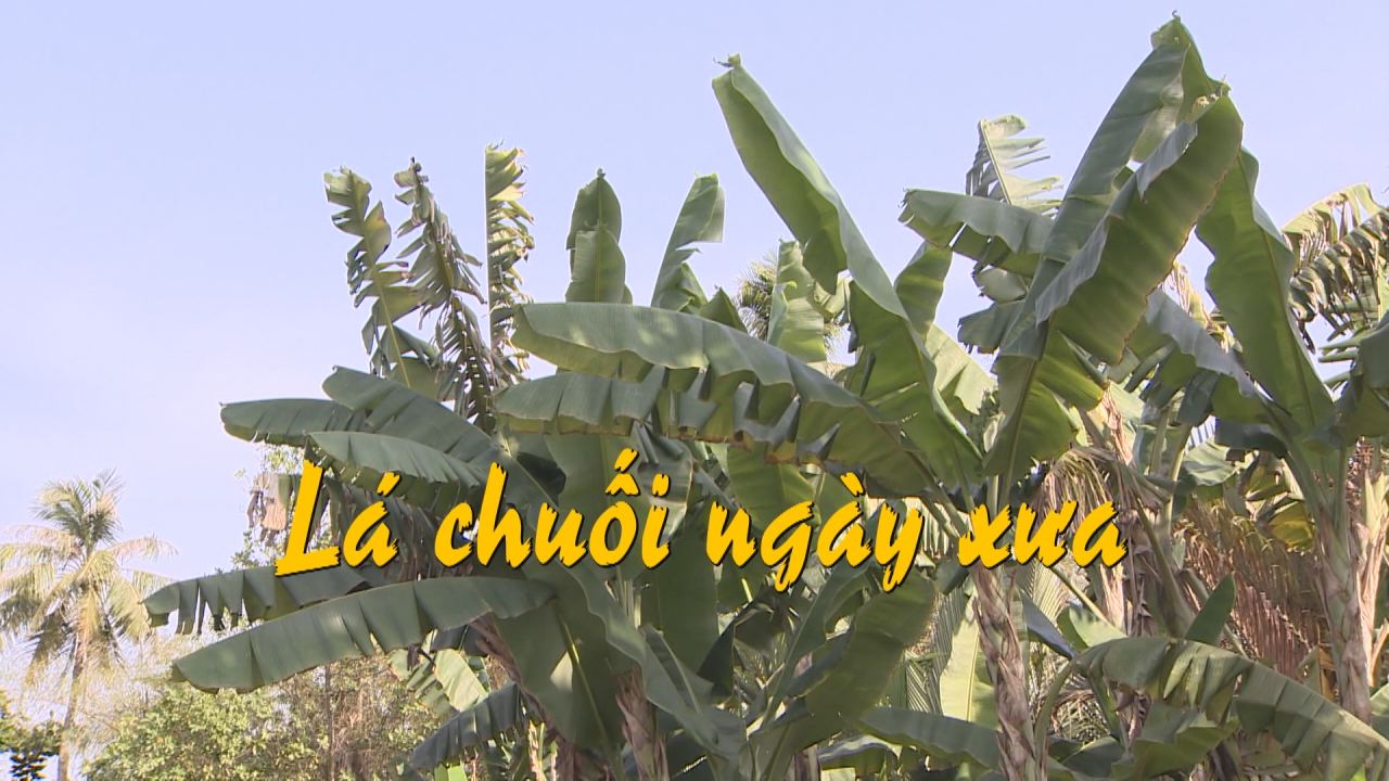 Nét Việt - Lá chuối ngày xưa 31-03-2017
