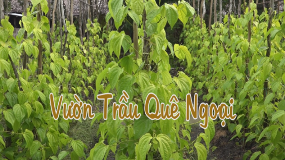 Nét Việt - Vườn trầu quê ngoại 04-05-2016