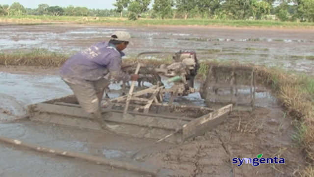 Thông tin dịch hại Nông nghiệp 04-05-2016